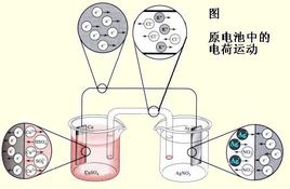 91视频黄污APP厂家