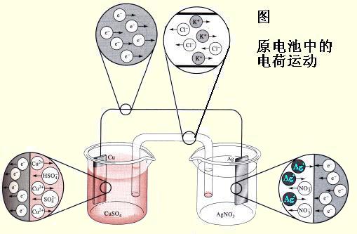 电化学91视频污版免费