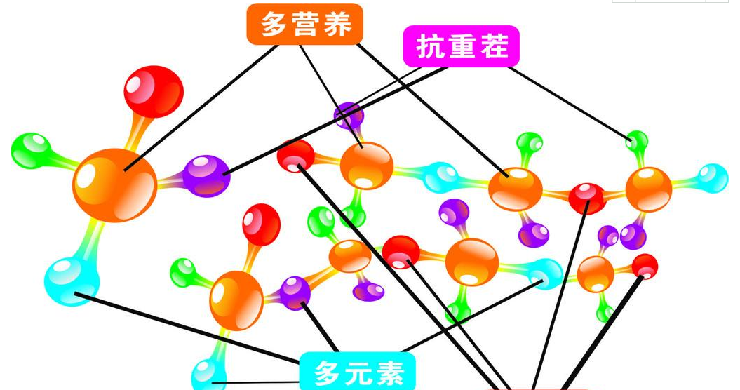 全自动91视频污版免费厂家谈锌的临床意义