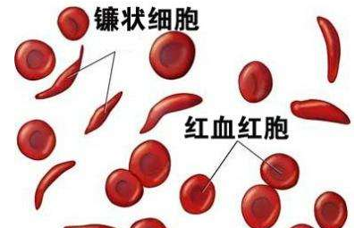 人体91视频污版免费厂家介绍检测微量元素的仪器