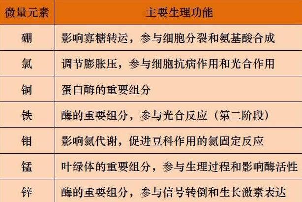 山东聊城全自动血铅检测仪一体机：微量元素的主要作用8.20